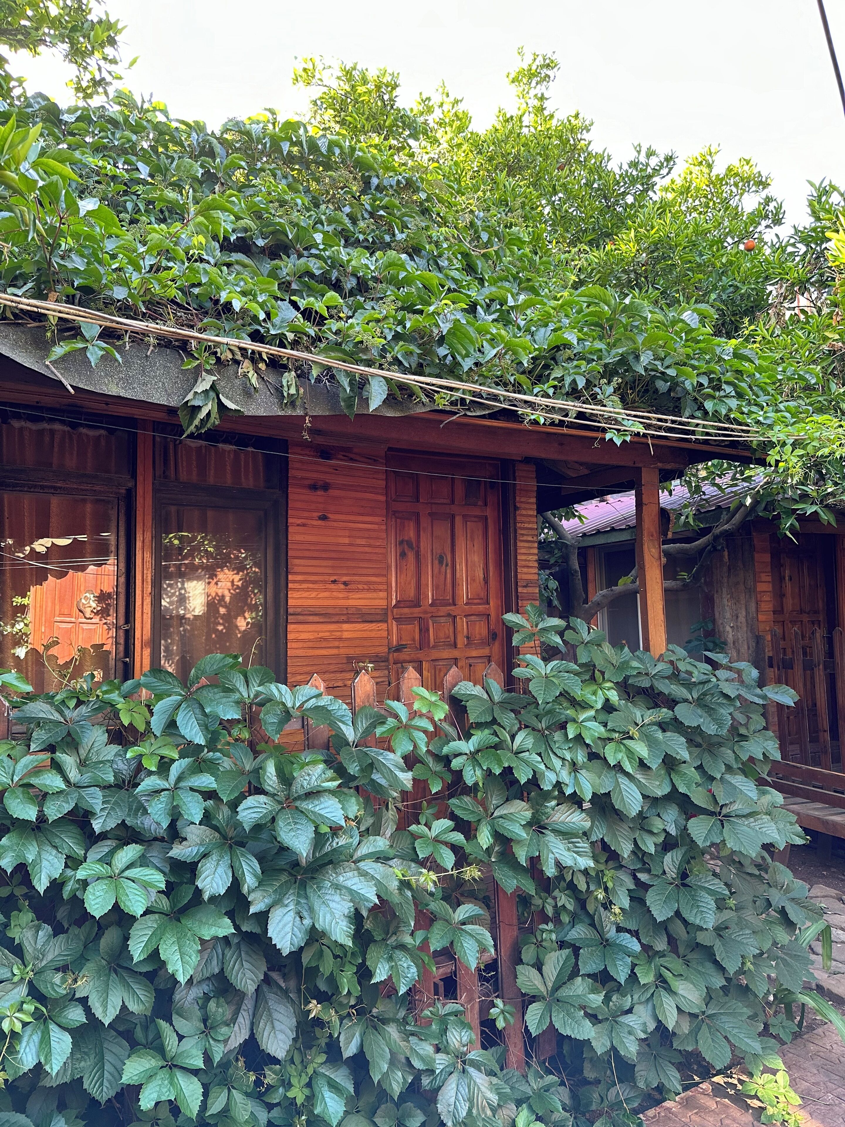 En træbygning med veranda, omgivet af frodig vegetation.