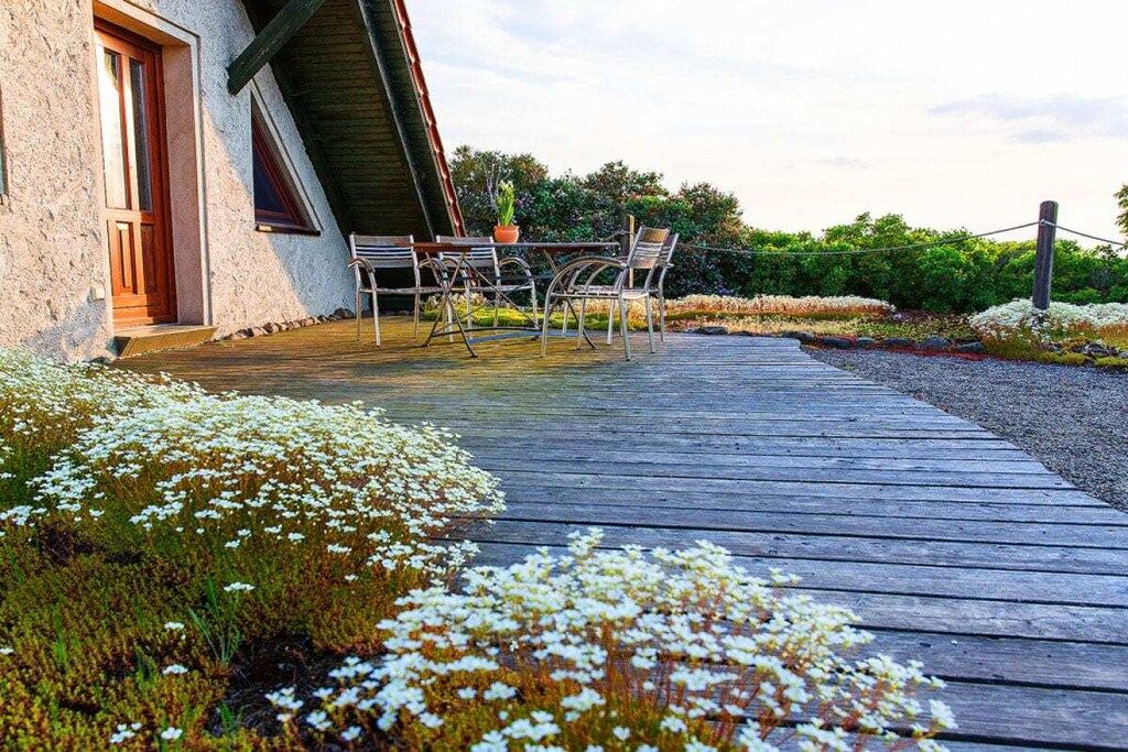 Een houten terras met tuinmeubilair, een gebouw met schuine kap en een tuin vol witte bloemen.