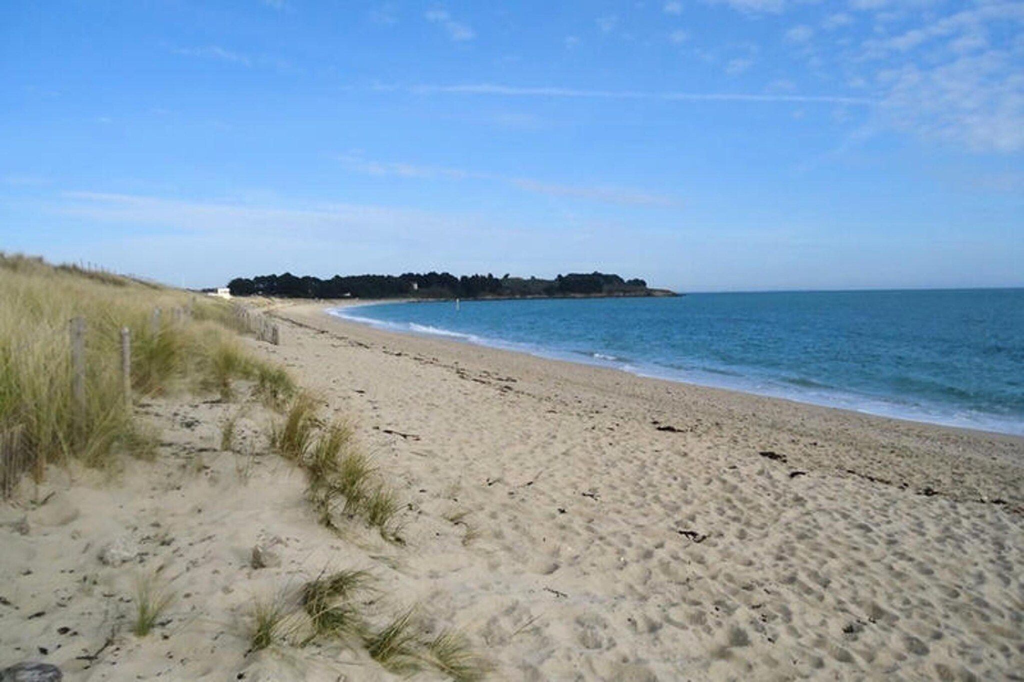 Une plage de sable fin, avec un ciel dégagé et une ligne d’arbres à l’horizon.