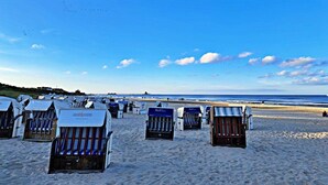 Sillas de playa dispuestas en una arena con cielo despejado y océano al fondo.