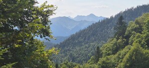 A mountainous landscape with dense forest.