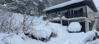 Mountain chalet—a 10-minute walk from the slopes in the heart of the forest.