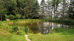A pond surrounded by lush greenery and tall trees.