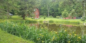 A pond surrounded by lush greenery and a red building.