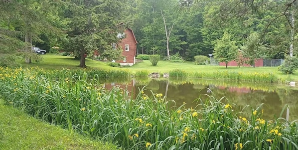 A pond surrounded by lush greenery and a red building. - Private Log Cabin Retreat with all Amenities in Greene, NY. (Greene)