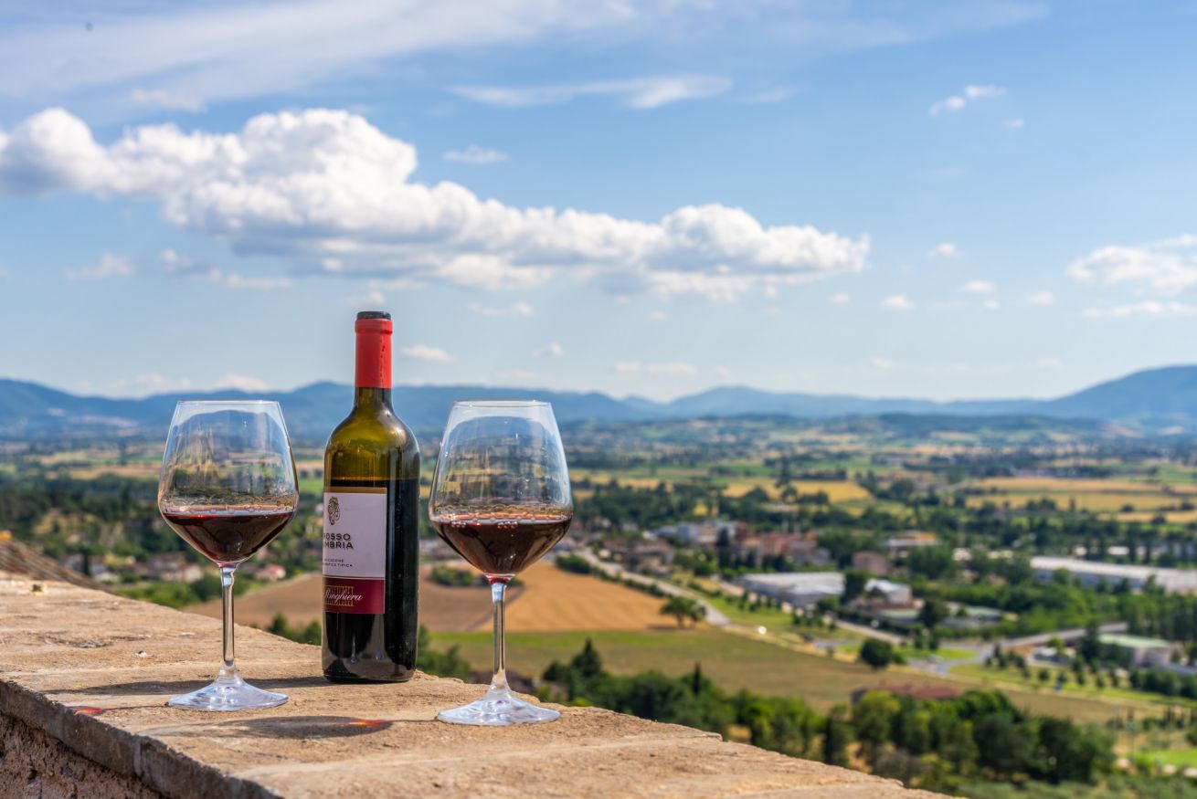 A wine bottle and two glasses on a ledge with a scenic view of a valley and mountains in the background.