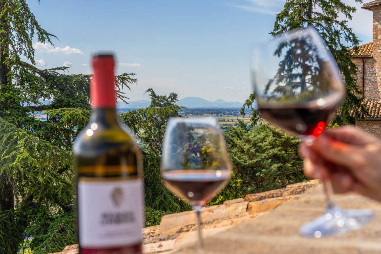 A wine bottle and a glass of wine with a scenic view of trees and mountains in the background.
