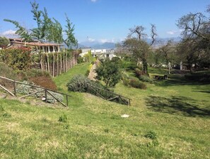 Exterior - La Tenuta il Castagno (Terzigno)