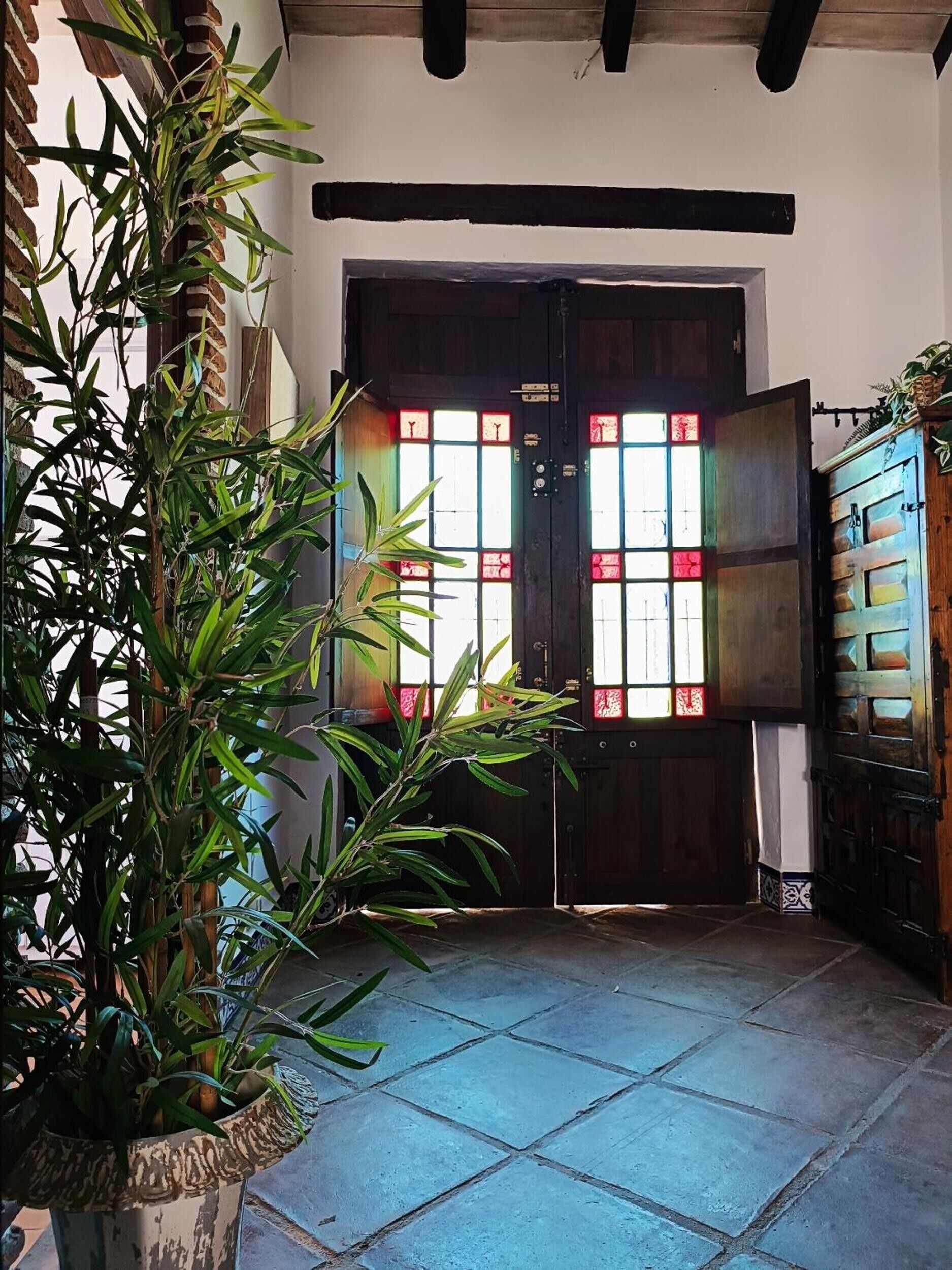 Una porta de fusta tradicional amb panells de vitrall, una planta en test i un sòl de rajola.