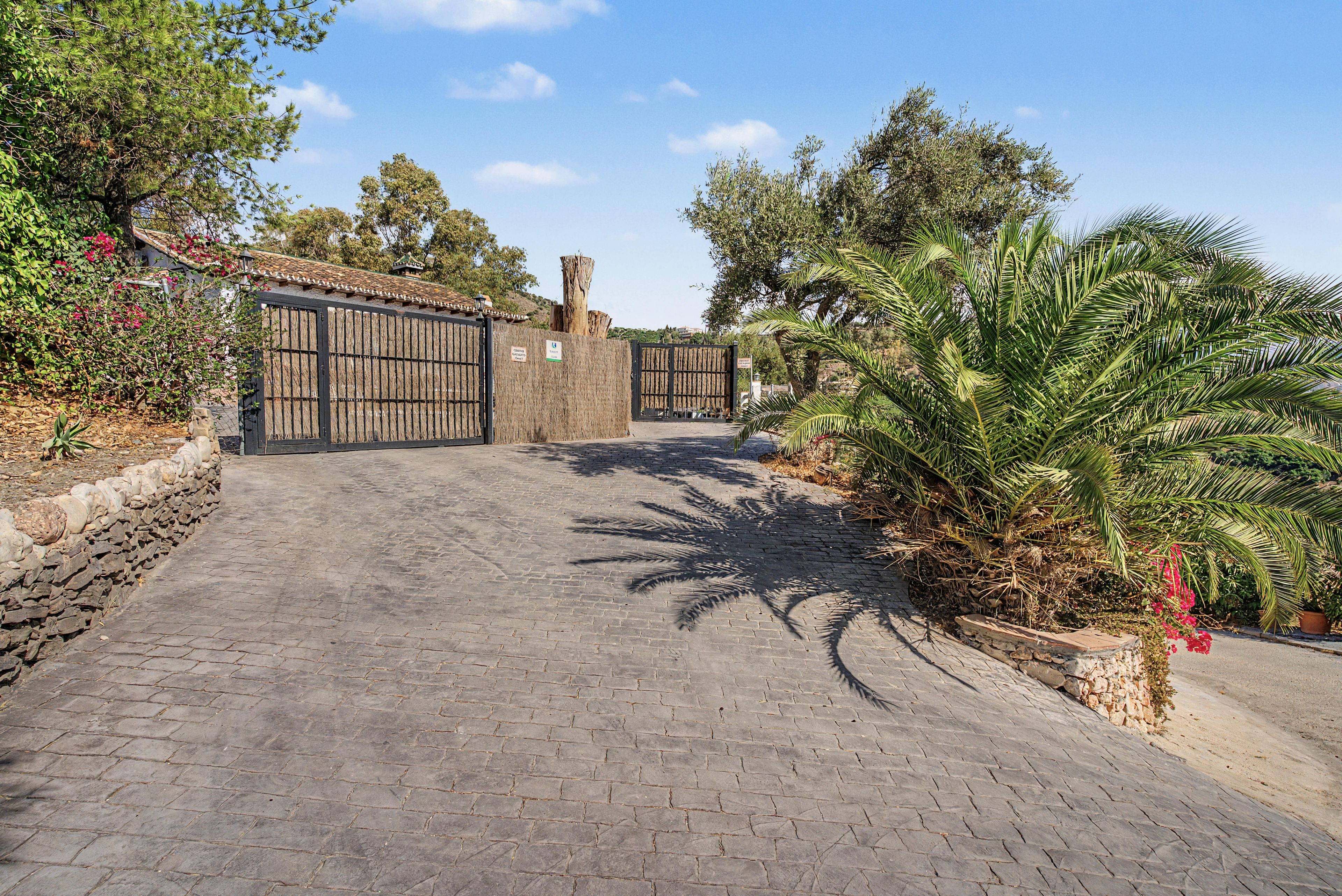 A paved pathway leading to a gated entrance with a rustic fence and a palm tree on the right.
