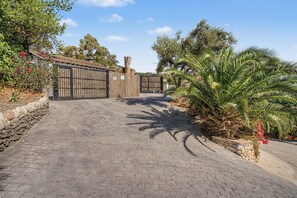 A paved pathway leading to a gated entrance with a rustic fence and a palm tree on the right.