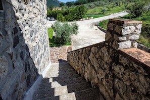 A stone staircase leading down to a paved area with a view of a green landscape and parked cars.