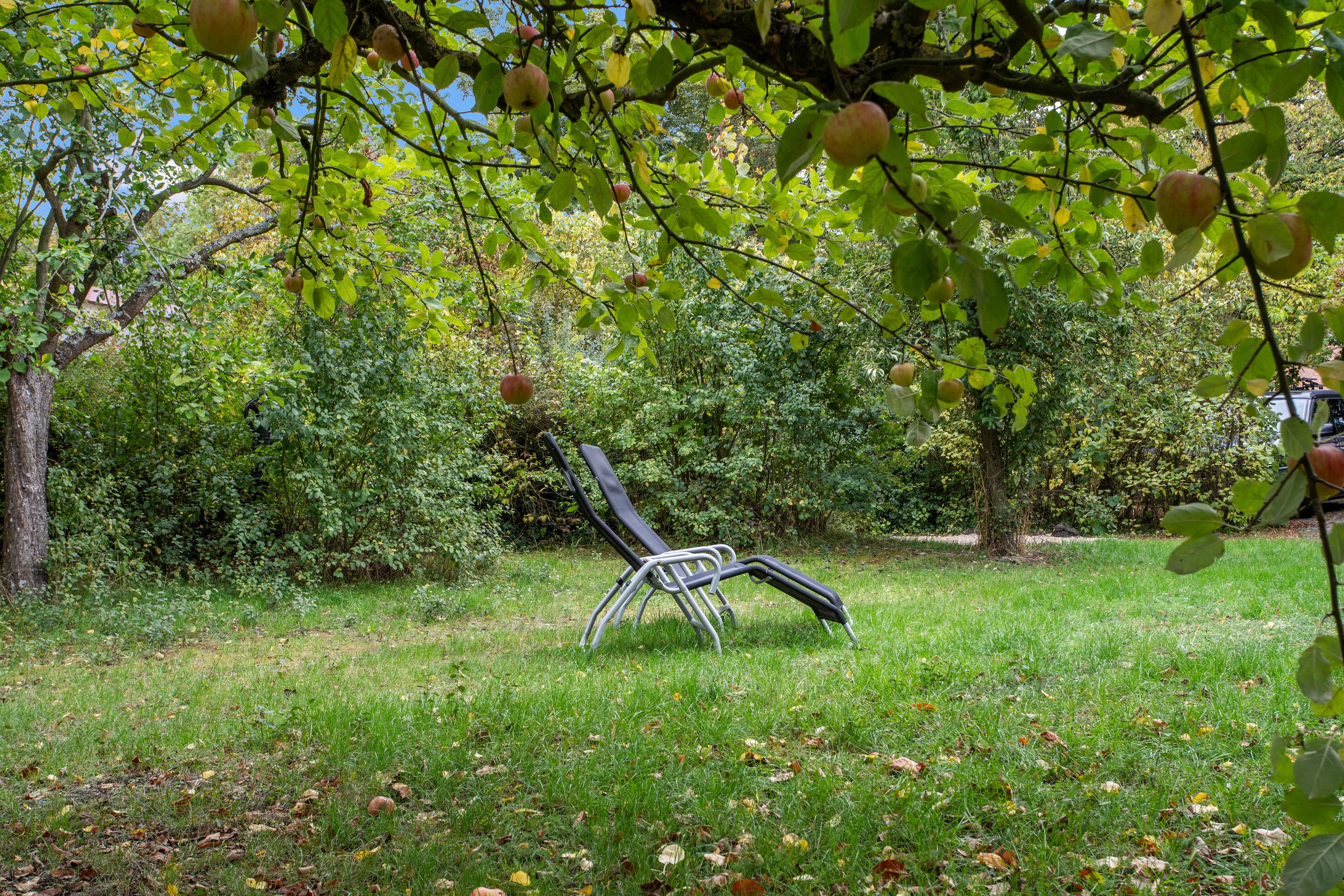 A park with a metal sculpture in the center, surrounded by grass and trees.