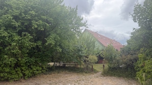 A rural setting with a house surrounded by dense greenery and a dirt path leading to it.