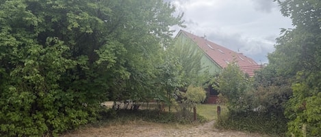 A rural setting with a house surrounded by dense greenery and a dirt path leading to it.