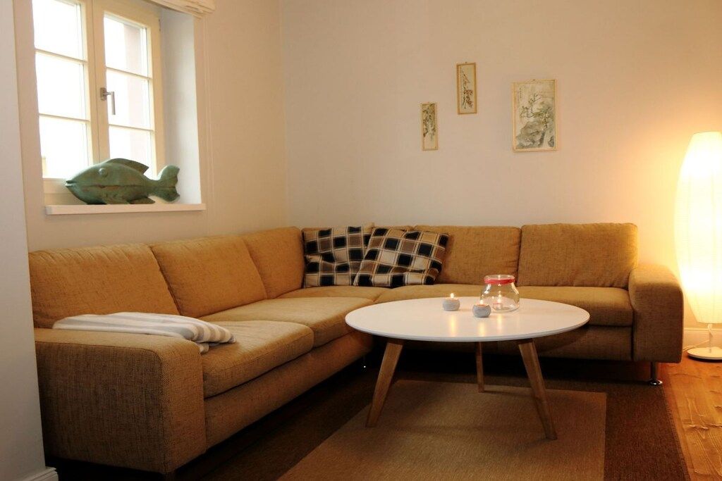 Smart-TV, Kamin