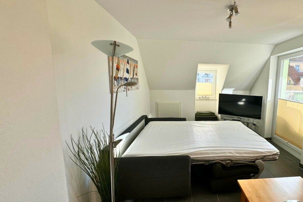 Ein gemütliches Zimmer mit einem Bett, Fernseher, Schreibtisch und einer Pflanze.