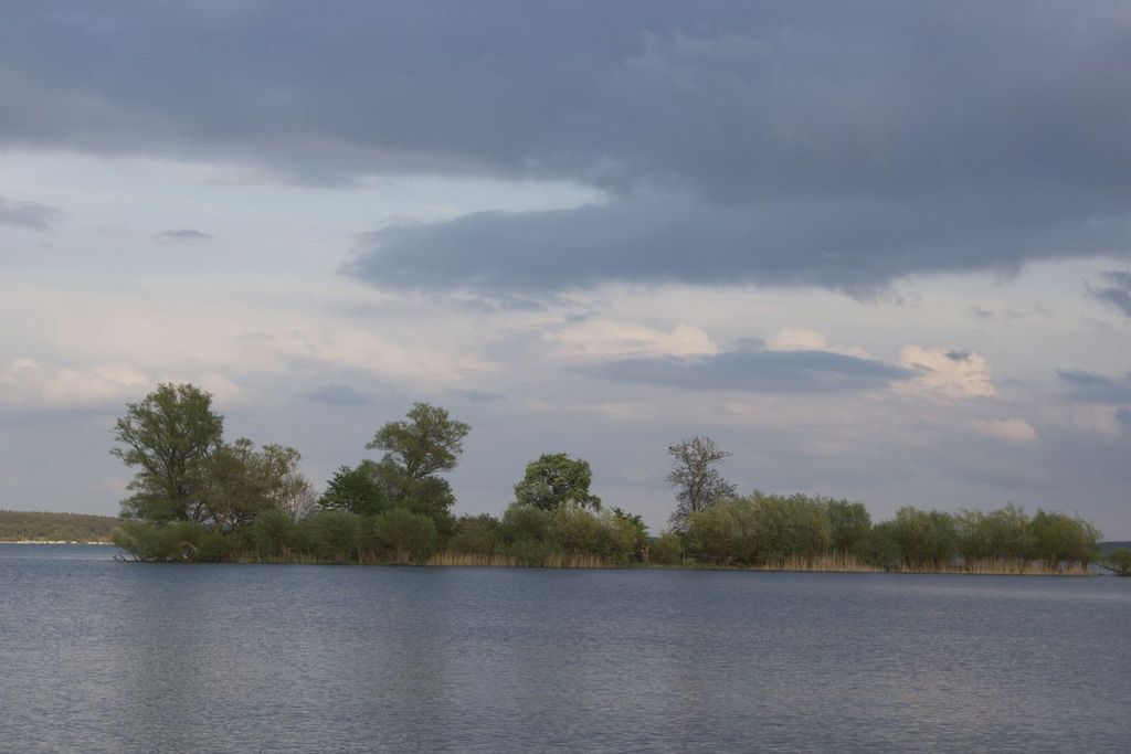 Um lago calmo com árvores e céu nublado.