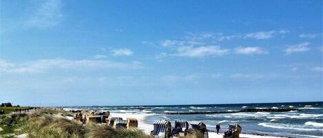 A beach with sand dunes, beach chairs, and umbrellas.