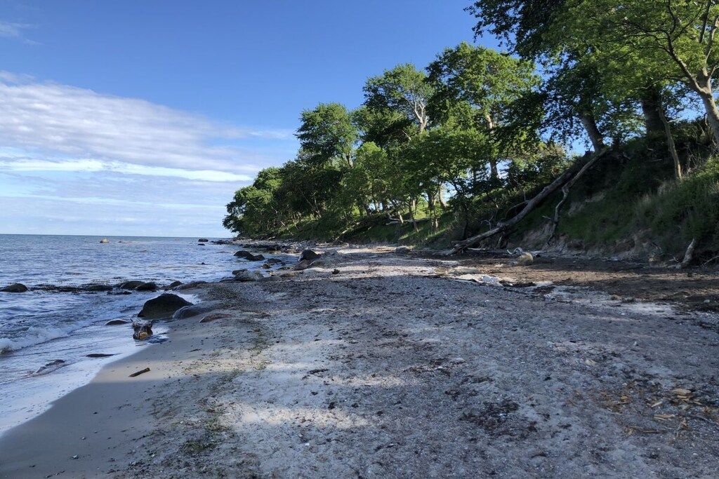 Une plage avec un rivage rocheux, des arbres et un ciel dégagé.