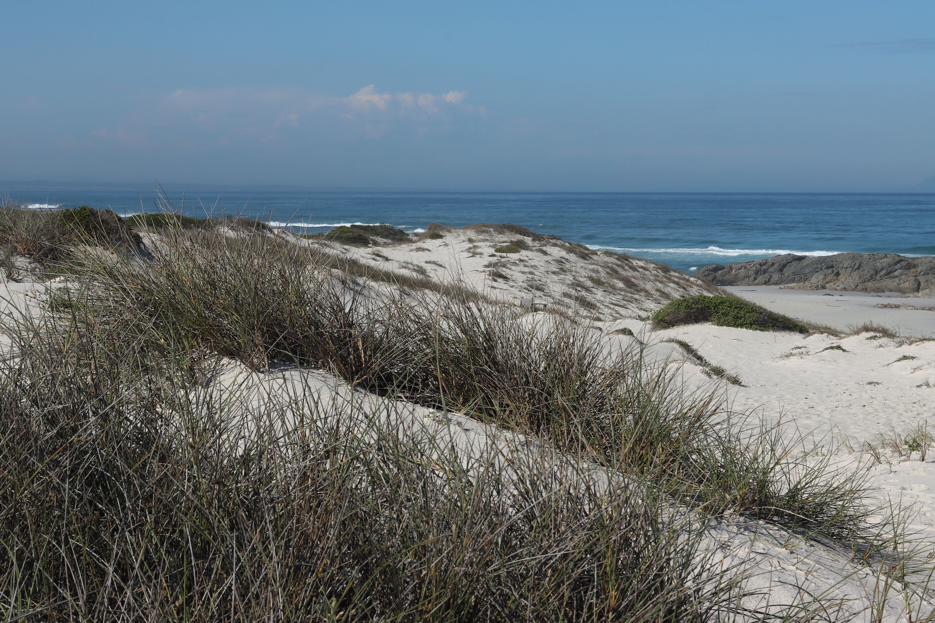 A coastal landscape with sand dunes and sparse vegetation.