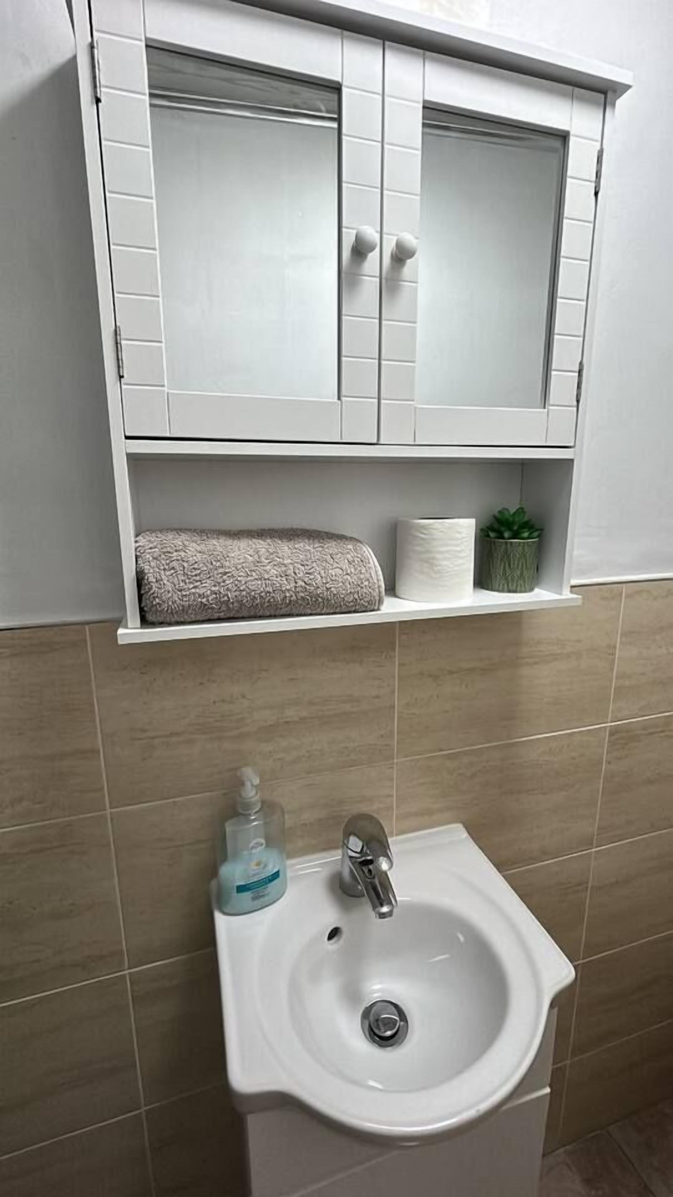 Un baño con un lavamanos blanco, un armario espejo y una repisa con una toalla y una planta pequeña.