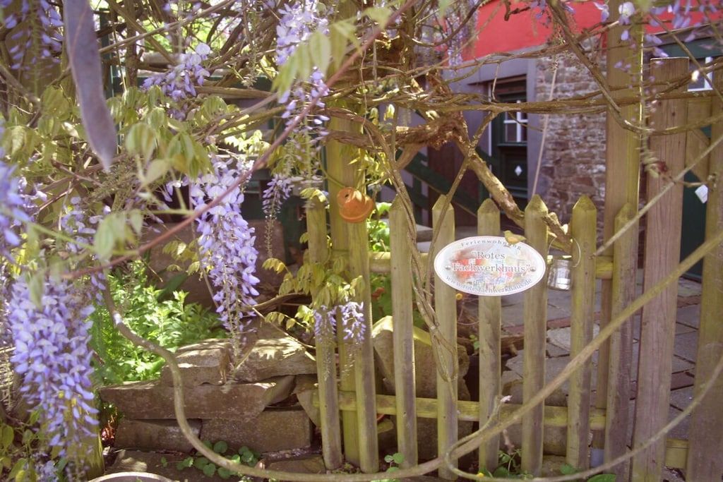 A garden with a wooden fence, a hanging planter, and a sign with text.