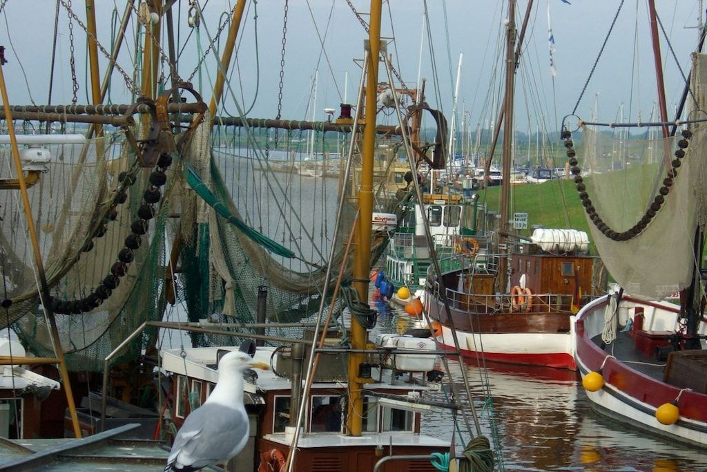 Un port où de nombreux bateaux sont amarrés, avec leurs mâts, leurs filets et divers équipements maritimes visibles.