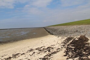 Una playa con orilla pedregosa y una zona verde que llega hasta el agua.