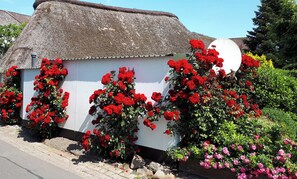 Ein weißes Gebäude mit einem Strohdach, umgeben von roten und rosa Blumen.