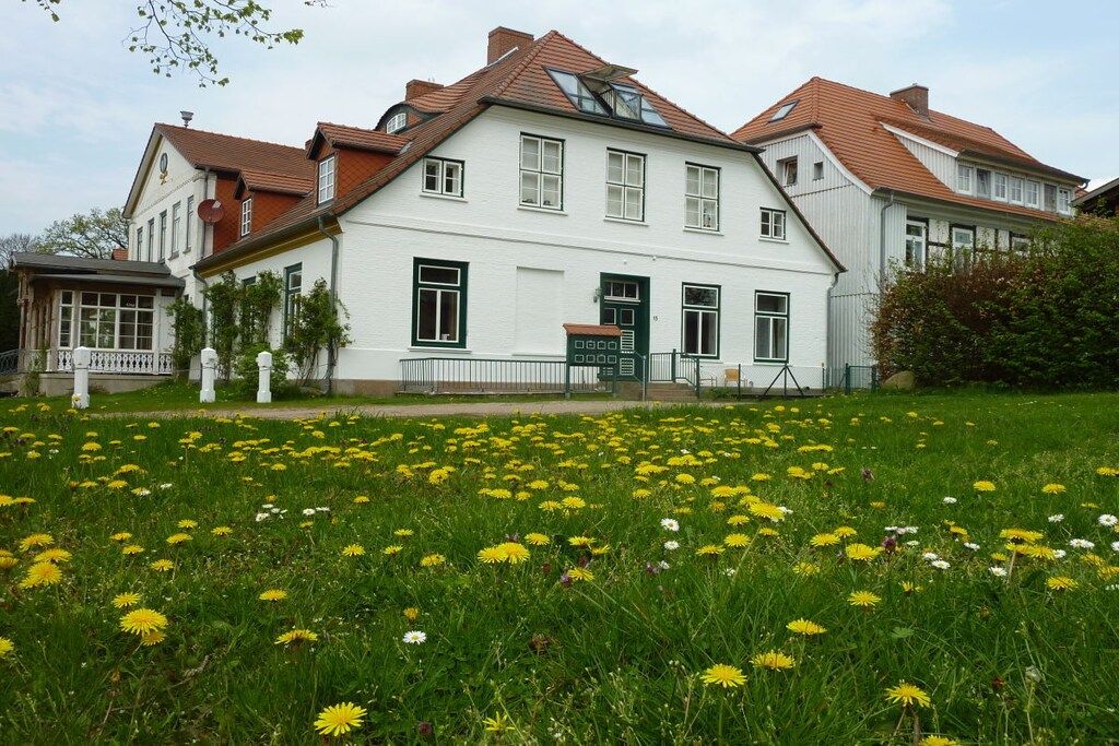 A large white building with multiple windows and a red roof, surrounded by a grassy field with yellow and white flowers.