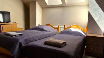 A room with a bed, a desk, and two skylights.