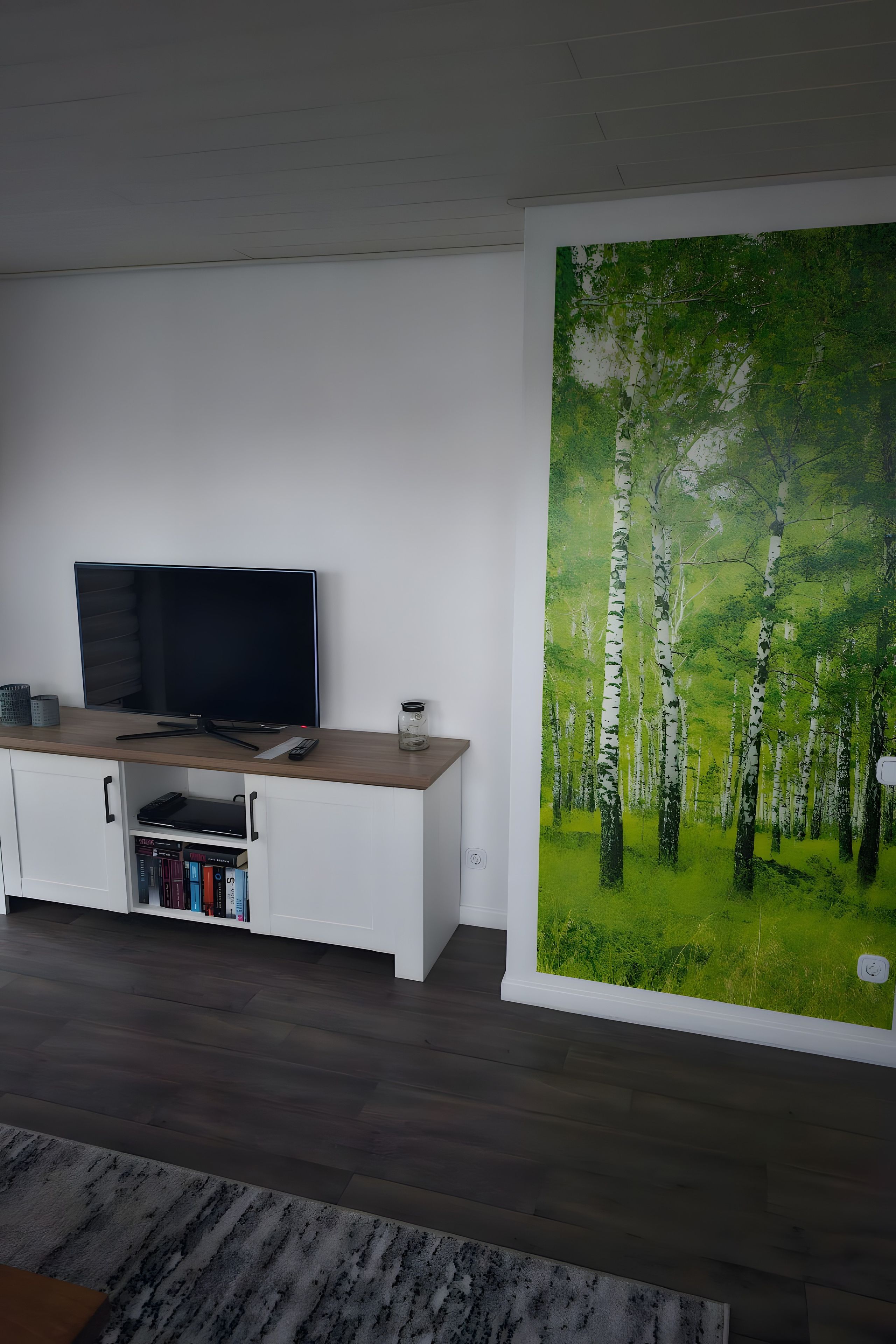 Ein Zimmer mit einem Flachbildfernseher auf einer Holzkommode, einem Bücherregal mit Büchern und einem großformatigen Wandbild eines Waldes.
