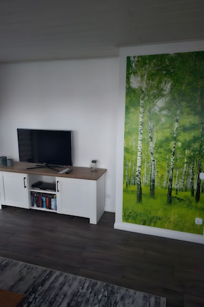 Ein Zimmer mit einem Flachbildfernseher auf einer Holzkommode, einem Bücherregal mit Büchern und einem großformatigen Wandbild eines Waldes.