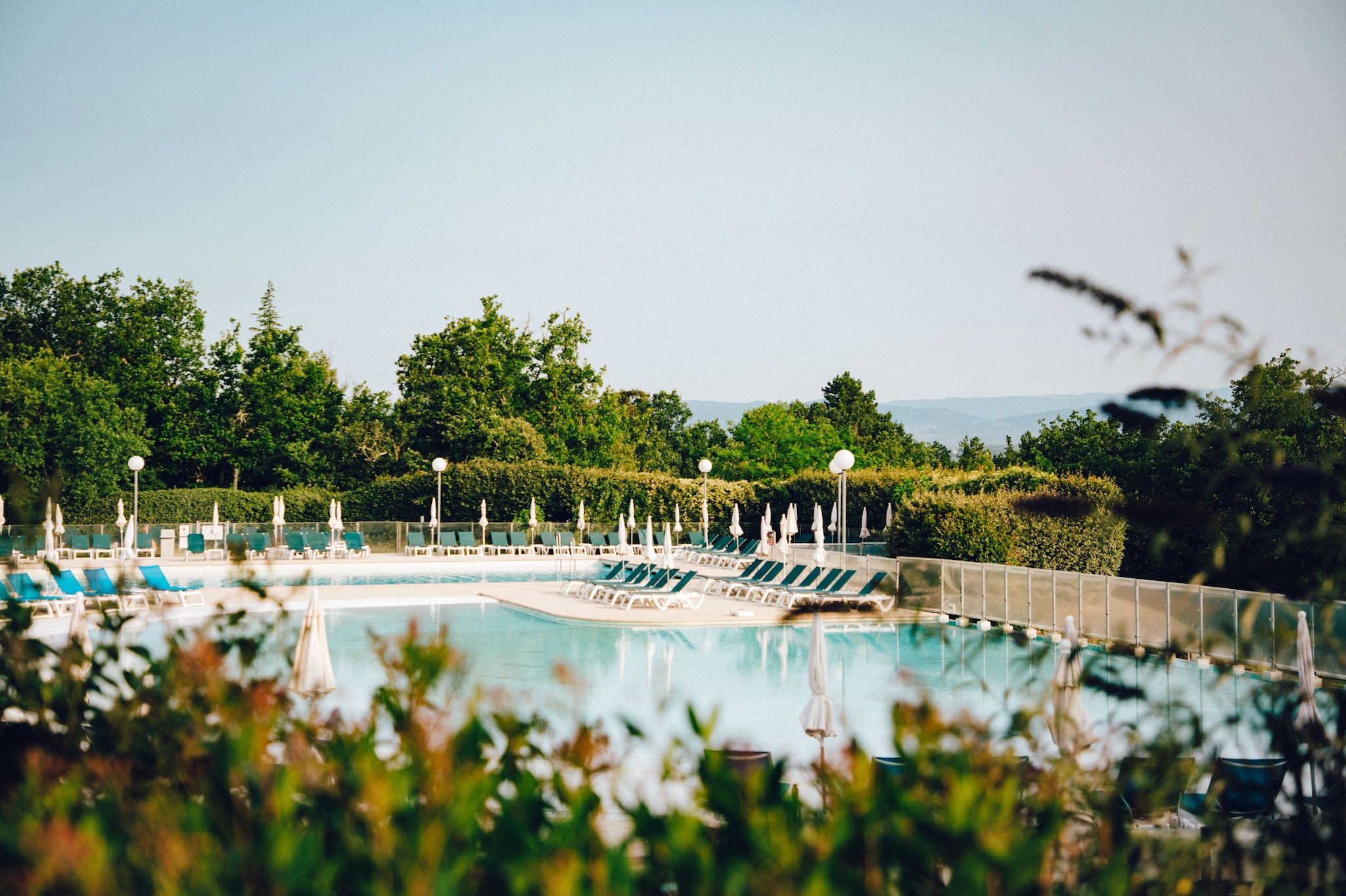 Ein Poolbereich mit mehreren Liegestühlen und Sonnenschirmen, umgeben von viel Grün und Bäumen.