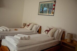 Two twin beds with white linens and decorative pillows, a framed picture on the wall, and a bedside table with a lamp. - Bike & Bikers Hotel (Ampezzo)