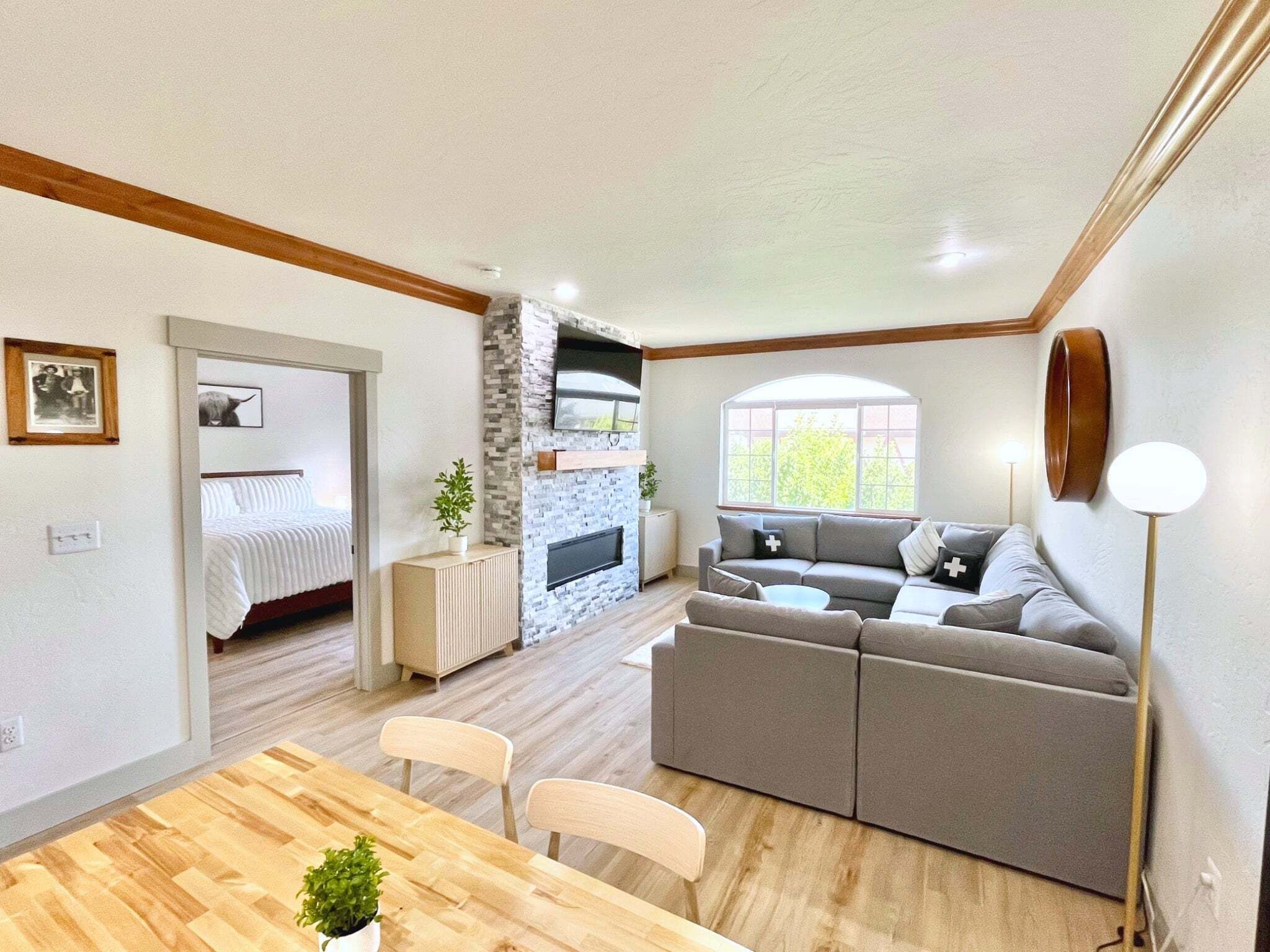 Smart TV, fireplace, books