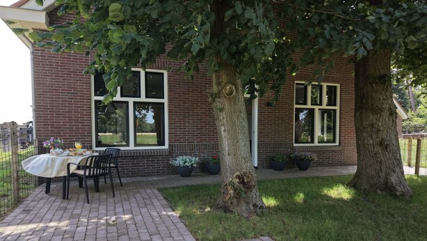 Un bâtiment en briques doté d’un patio comprenant une table et des chaises, entouré de plantes en pot et d’un arbre.