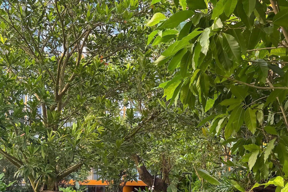 Condo, 2 Bedrooms, Accessible, Smoking | Garden