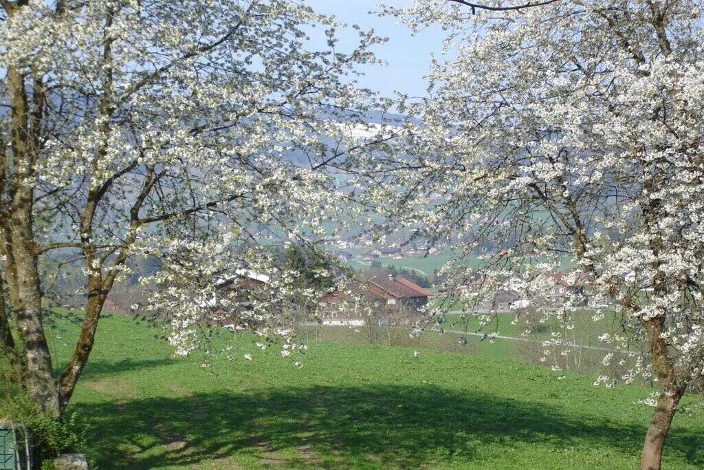 Ländliche Landschaft mit blühenden Bäumen und einem Dorf in der Ferne.