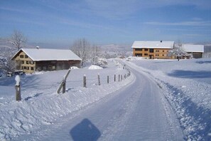 Ein verschneiter Feldweg führt zu einem Holzhaus mit einem schneebedeckten Dach.