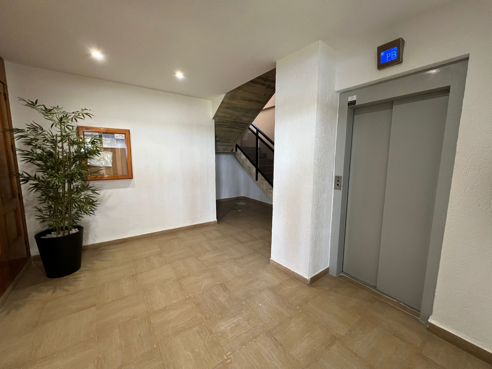 Un pasillo con una planta en maceta, un cuadro enmarcado, una escalera y una puerta.