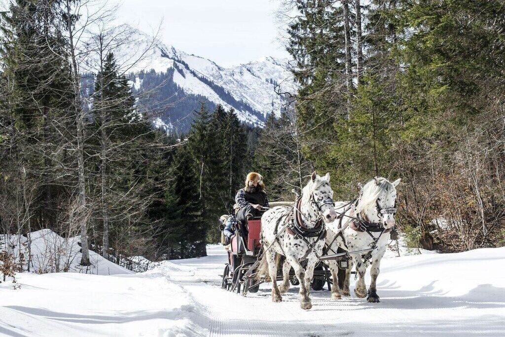 A horse-drawn carriage on a snowy path with a mountainous backdrop.