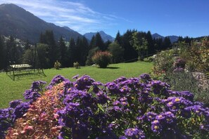 Ein Garten mit violetten Blumen, einer Bank und einem Berg im Hintergrund.