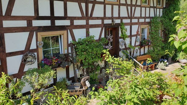 Une maison traditionnelle à colombages, dotée de nombreuses fenêtres et d’un jardin agrémenté de diverses plantes et fleurs.