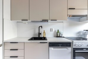 A modern kitchen with a dishwasher, a stove, and a sink.