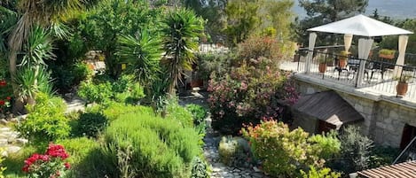 A garden with a stone pathway, a gazebo, and a view of the sea.