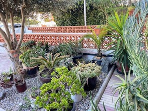 Un jardín con diversas plantas en macetas y un banco de madera.