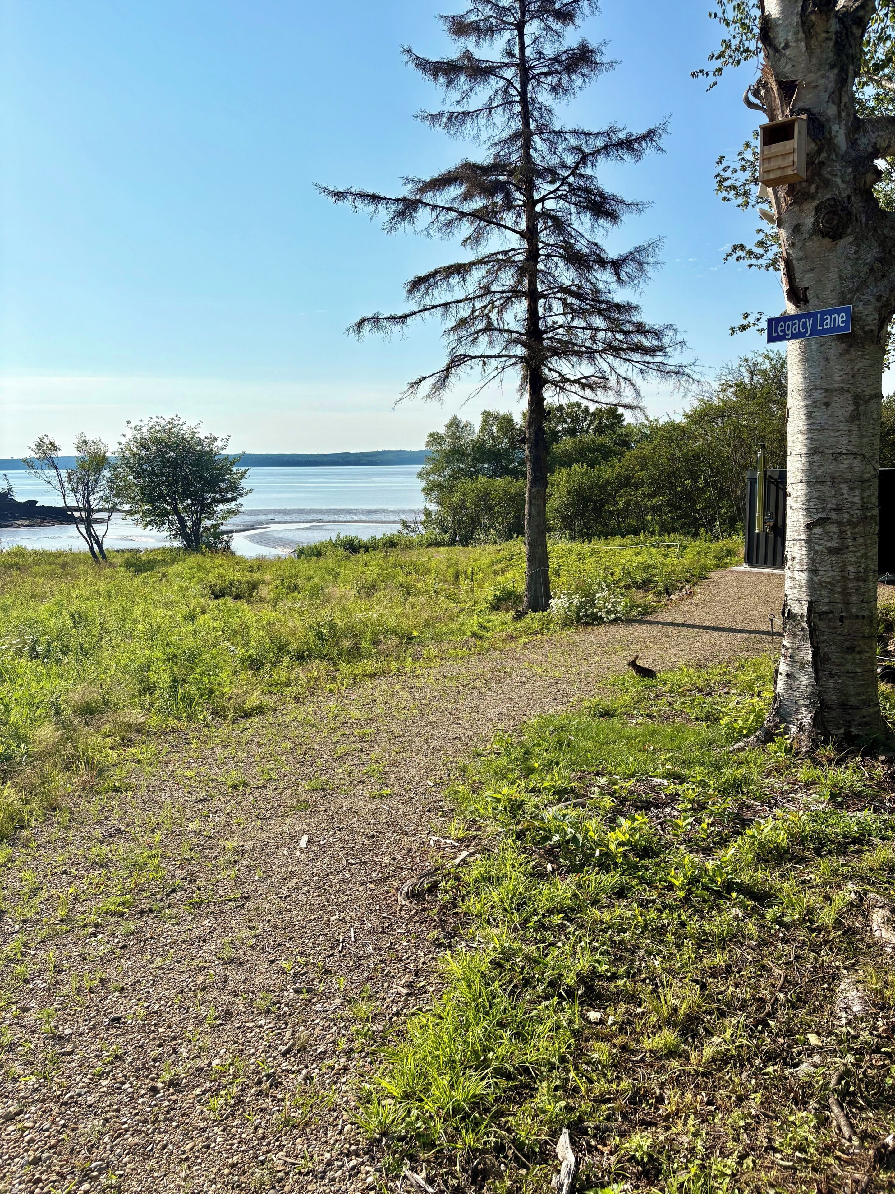 A natural landscape with a clear sky, a tree, and a sign reading 'Legacy Lane.'