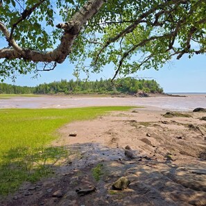 A beach with a grassy area, rocky terrain, and a forested background. - Private Bay of Fundy Escape | Ocean Views, Sauna & Tides | RAW-Rest and Wander (Upper Rockport)